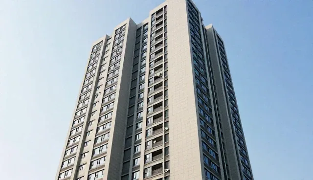 品牌代理服务中的应用场景分析与实践建议